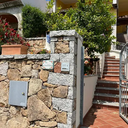 Chicco House Iun R0108 * كالا غونوني